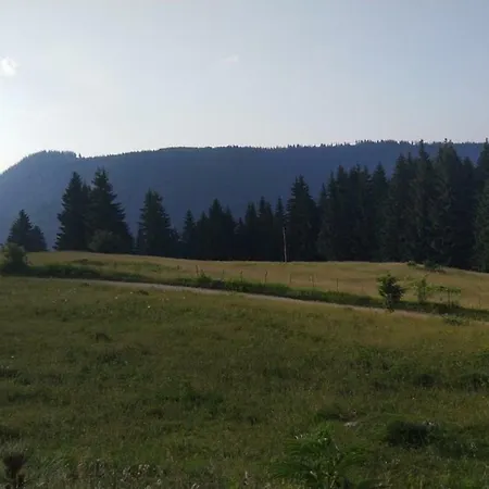 Mirza Apartman